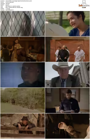Walker Texas Ranger 1993 S01-S09 1080p WEB-DL H265 10bit DDP2.0-Zero00