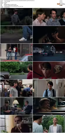 Risky Business 1983 Directors Cut Criterion 1080p BRRip DV HDR HEVC X265 DTS-PoPCoRnUHD