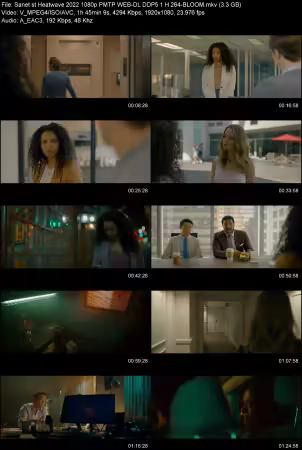 Heatwave 2022 1080p PMTP WEB-DL DDP 5.1 H264-BLOOM