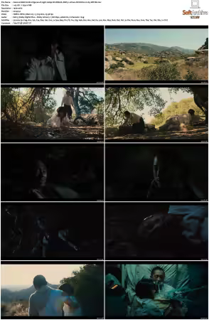 BEEF S01 1080p NF WEB-DL DDP5 1 Atmos DV HDR10 H265-WDYM