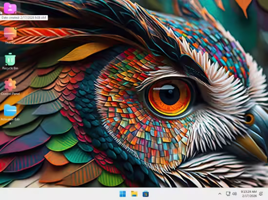Windows 11 Pro Lite 25H2 Build 26200.7840 Aretha 11 Edition