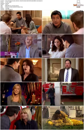 Burning Love 2012 S01 S03 1080p WEB-DL x265 HEVC 10bit AAC 5.1-Panda