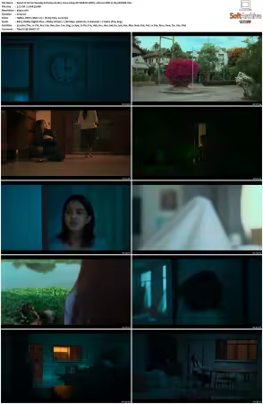 Terror Tuesday Extreme S01 2024 2160p NF WEB-DL DDP5 1 Atmos HDR H265-HHWEB