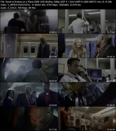 Snakes on a Plane 2006 UHD BluRay 1080p DDP 5.1 DoVi HDR10 x265-SM737