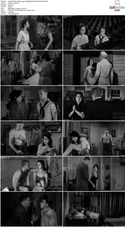 The Rose Tattoo 1955 1080p BDRip DTS HEVC x265-PoPCoRn