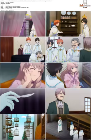 The Brilliant Healers New Life in the Shadows S01 1080p BluRay Dual-Audio Opus 20 x265-YURASUKA