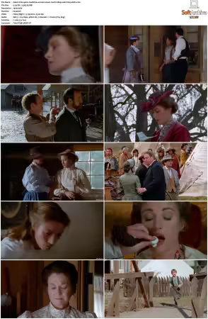 Dr Quinn Medicine Woman S01 MULTi 1080p WEB H264-UKDTV