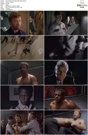 Walker Texas Ranger 1993 S01-S09 1080p WEB-DL H265 10bit DDP2.0-Zero00