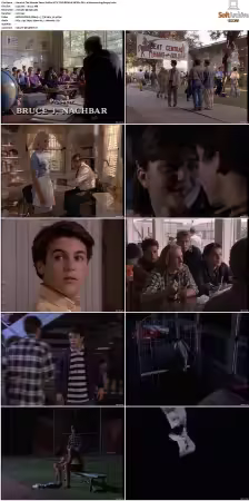 The Wonder Years S01-S06 NTSC DVD REMUX MPEG2 DD 2.0 Homecoming-Rmp4L