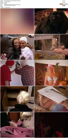 The Girls Next Door S01-S06 DVDRip XviD-SCENE