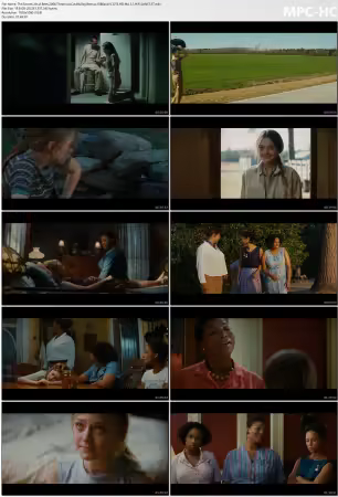 The Secret Life of Bees 2008 Theatrical Cut BluRay Remux 1080p AVC DTS HD MA 5.1-HiFi