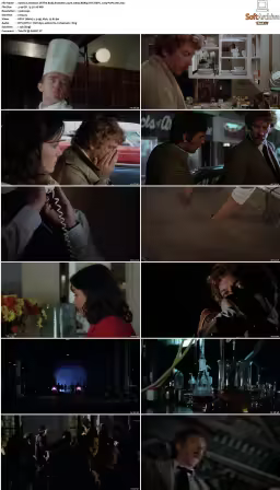 Invasion Of The Body Snatchers 1978 1080p BDRip DTS HEVC x265-PoPCoRn
