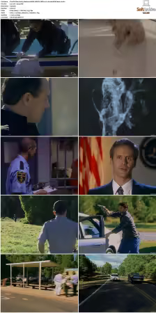 The F.B.I. Files S01 S07 AMZN WEB-DL DDP2.0 H264-playWEB