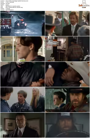 Walker Texas Ranger 1993 S01-S09 1080p WEB-DL H265 10bit DDP2.0-Zero00