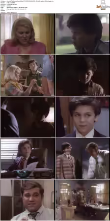 The Wonder Years S01 S06 NTSC DVD REMUX MPEG2 DD 2 0 Homecoming-Rmp4L