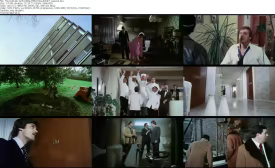 The Odd Job 1978 1080p WEB-DL H264-AMORT