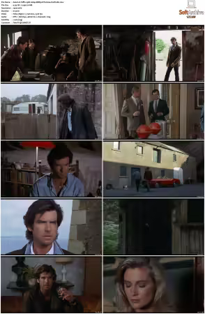 Taffin 1988 1080p BDRip DTS H264-PoPCoRn