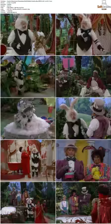 Adventures In Wonderland 1992 S01-S03 480p WEB-DL H264 AAC2.0-cT