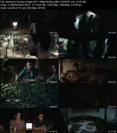 It Comes at Night 2017 1080p BluRay x265-YAWNTiC