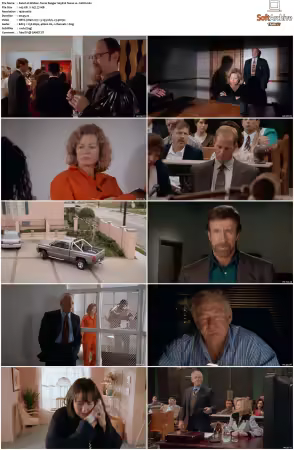 Walker Texas Ranger 1993 S01-S09 1080p WEB-DL H265 10bit DDP2.0-Zero00