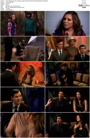 Burning Love 2012 S01 S03 1080p WEB-DL x265 HEVC 10bit AAC 5.1-Panda