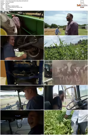 The American Farm S01 1080p WEB-DL DDP2.0 H264-TBS