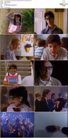 The Wonder Years S01-S06 NTSC DVD REMUX MPEG2 DD 2.0 Homecoming-Rmp4L
