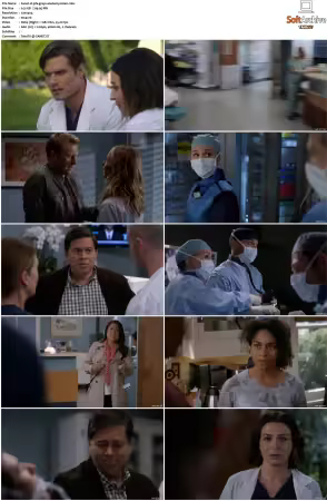 Greys Anatomy S16 DVDRip x264-PFa