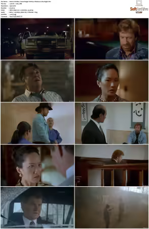 Walker Texas Ranger 1993 S01 S09 1080p WEB-DL H265 10bit DDP2.0-Zero00