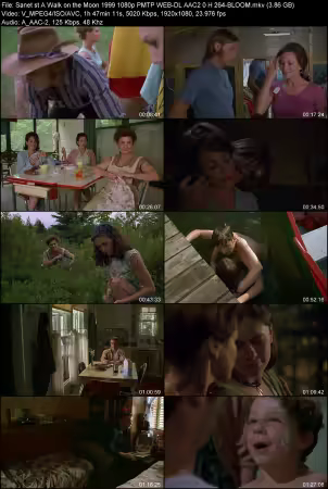 A Walk on the Moon 1999 1080p PMTP WEB-DL AAC 2.0 H264-BLOOM