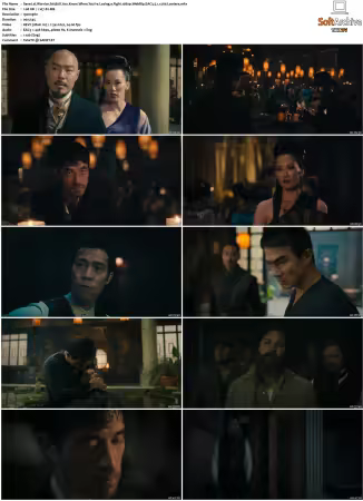 Warrior S01 S03 1080p WebRip EAC3 5.1 x265-Lootera