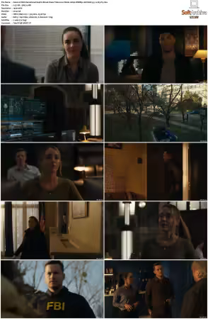 FBI International 2021 S04 1080p WEBRip 10bit EAC3 5.1 x265-iVy