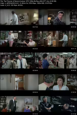 The Prisoner of Second Avenue 1975 1080p BluRay x264-OFT