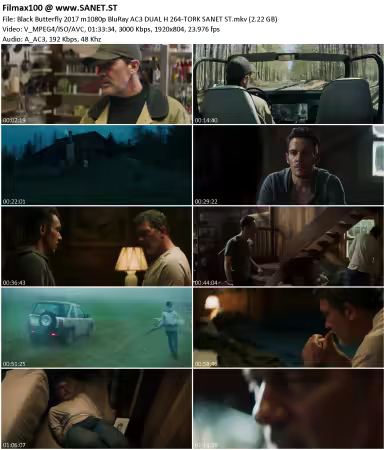 Black Butterfly 2017 m1080p BluRay AC3 DUAL H264-TORK