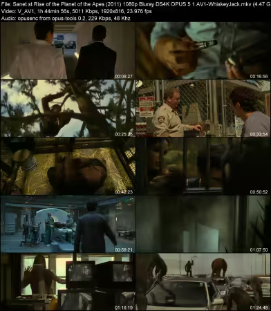 Rise of the Planet of the Apes 2011 1080p Bluray DS4K OPUS 5.1 AV1-WhiskeyJack