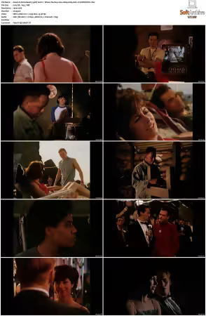 China Beach 1988 S01-S04 1080p H265 AAC 2CH-MNKYDDL