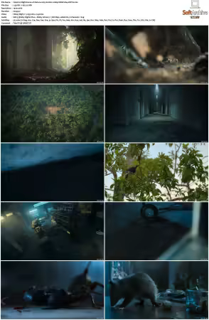Nightmares of Nature 2025 S02 1080p WEB h264-EDITH