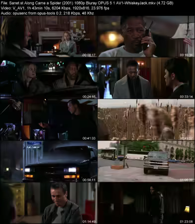 Along Came a Spider 2001 1080p Bluray OPUS 5.1 AV1-WhiskeyJack