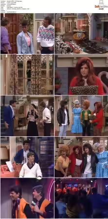 The Facts of Life S08 WEB x264-NGP