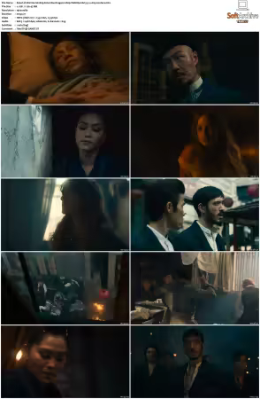Warrior S01 S03 1080p WebRip EAC3 5.1 x265-Lootera