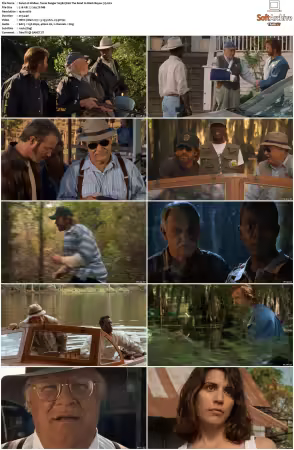 Walker Texas Ranger 1993 S01 S09 1080p WEB-DL H265 10bit DDP2.0-Zero00