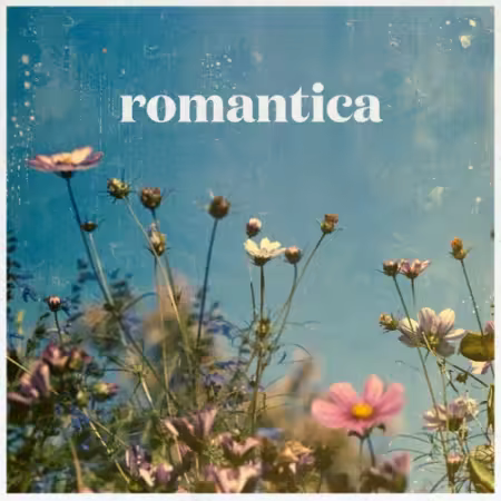 Piero Piccioni - Romantica - Vintage Italian Soundtracks (2026)
