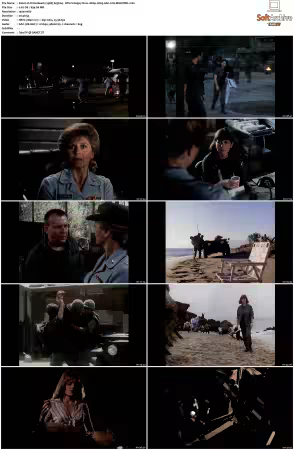 China Beach 1988 S01-S04 1080p H265 AAC 2CH-MNKYDDL