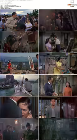 The World Of Suzie Wong 1960 1080p BDRip DTS HEVC x265-PoPCoRn