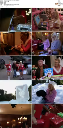 The Girls Next Door S01-S06 DVDRip XviD-SCENE