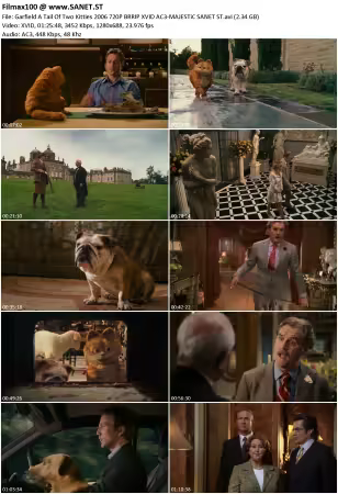 Garfield A Tail Of Two Kitties 2006 720P BRRIP XVID AC3-MAJESTiC