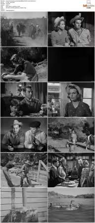 The Southerner 1945 1080p BDRip DTS HEVC x265-PoPCoRn