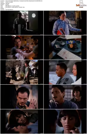 China Beach 1988 S01-S04 1080p H265 AAC 2CH-MNKYDDL