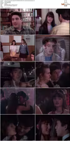 The Wonder Years S01-S06 NTSC DVD REMUX MPEG2 DD 2.0 Homecoming-Rmp4L