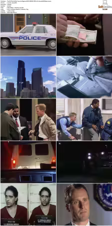 The FBI Files S01 S07 AMZN WEB-DL DDP2.0 H264-playWEB
